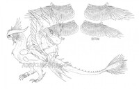 F2U Base - Common Boreal Blizzardcutter