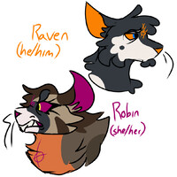 Raven and Robin concept