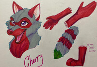 cherry partial concept