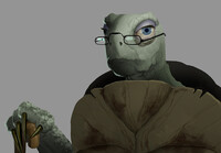 Old Lady Turtle