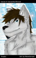 Werethrope's Art Trade (to me)