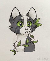 Sketch2