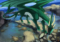 COMMISSION - Horseshoe crab search