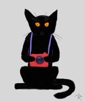 Fluffy photographer