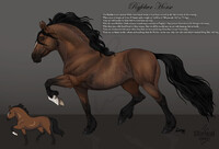 Ryfelwr Horse Breed Sheet