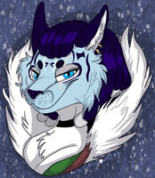 Portrait for Snowflaketheicewolf