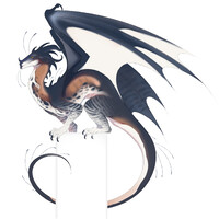 dragon adoptable (closed)