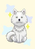 Chibi white Samoyed