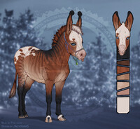 Donkey adopt (closed)