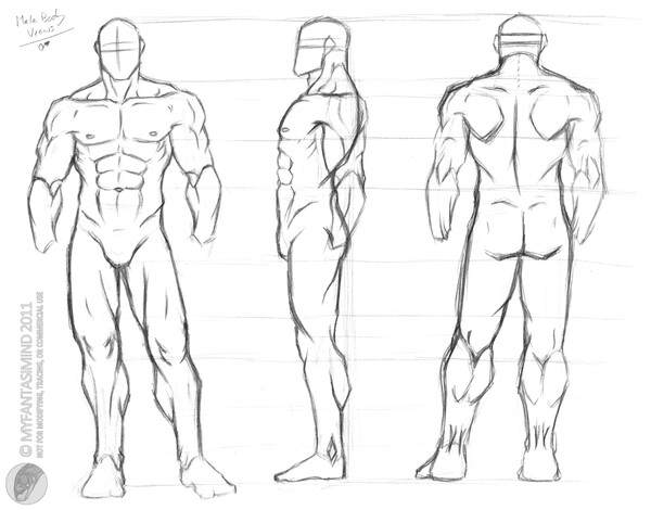 sketch-Male body study by HikaruRauchio on DeviantArt