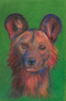 Wild Dog