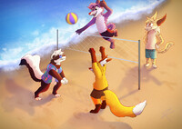 Volleyball