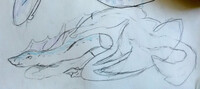 Karaga Ref Feral (rough)