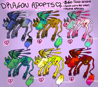 Dragon Adopts!