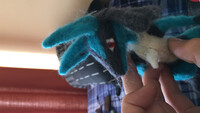 Another look - lucario felt doll