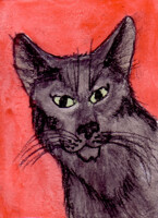 Binx the black cat- ACEO 2010