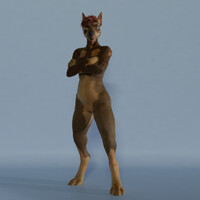 Female Doberman 3d model