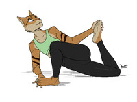 Feline Yoga