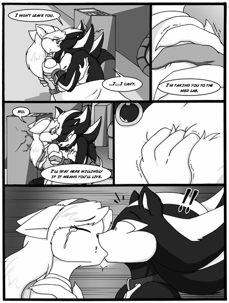 Shadow's kiss by tierafoxglove -- Fur Affinity [dot] net