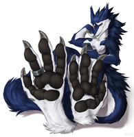 Cm: Caylex
