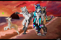 Venatura - Sunset Walk