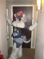 FCN 2010: Chi 2.0 pose