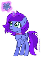 Magic Practice (gift)