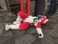 Fursuit Friday 12/30/2022