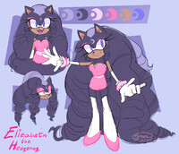 -MY OC- Elizabeth The Hedgehog