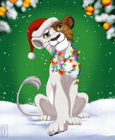 Happy New Year, Zawadi!