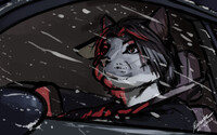 Night Driving
