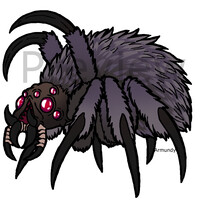 Spider Queen Adopt (sold)