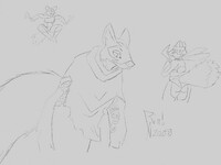 Bunch of Alopex