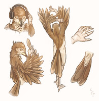 some more Moro