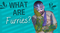 What are furries? Video