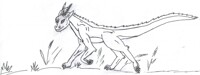 Spring trot 