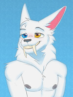 [246] Lenwe_Catspurr