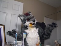 The Wuffle's New 'do