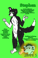 Stephen the border Collie