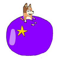 Chilli Heeler Pants Inflation