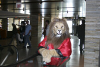 [PHOTO] MFF 10 Fursuits 35