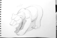 Practice 8th January 2011