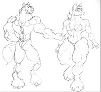 Braccia & Crura - 2023.0118-1