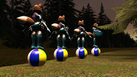 Zero Suit Foxes And The Beachballs