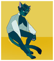 boy cat
