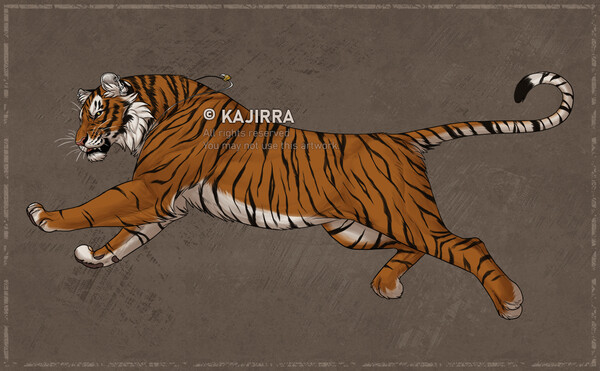 C| The Tiger by Kajte -- Fur Affinity [dot] net