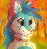 Icon thingy