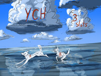 Reflection YCH 2/3 slots OPEN