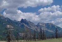 The Road to Jasper 37