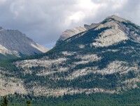 The Road to Jasper 38